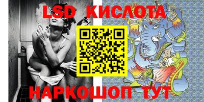 прущие крисы Моздок