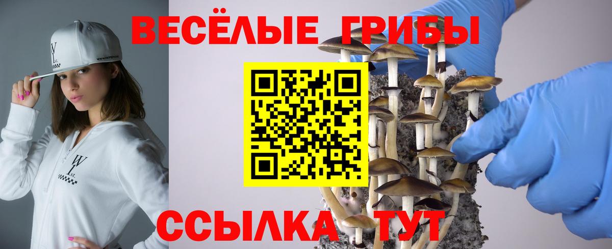 Галлюциногенные грибы Аксай