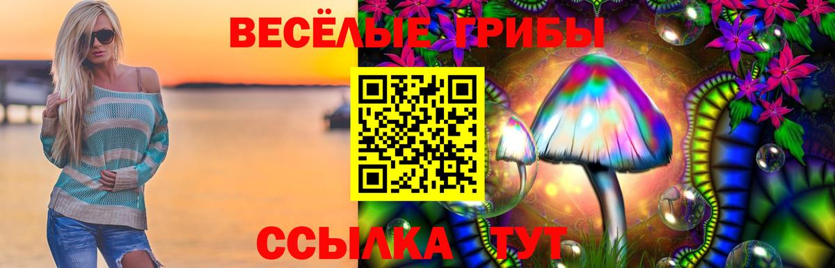 Аксай  Галлюциногенные грибы Psilocybe  Галлюциногенные грибы Psilocybine cubensis  Вход с VPN 