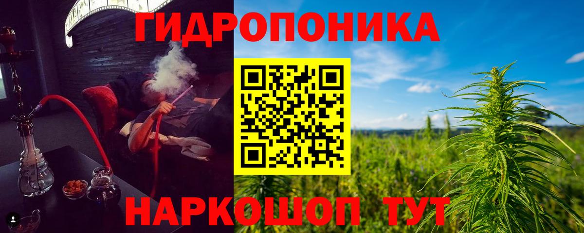 Конопля Amnesia Аксай